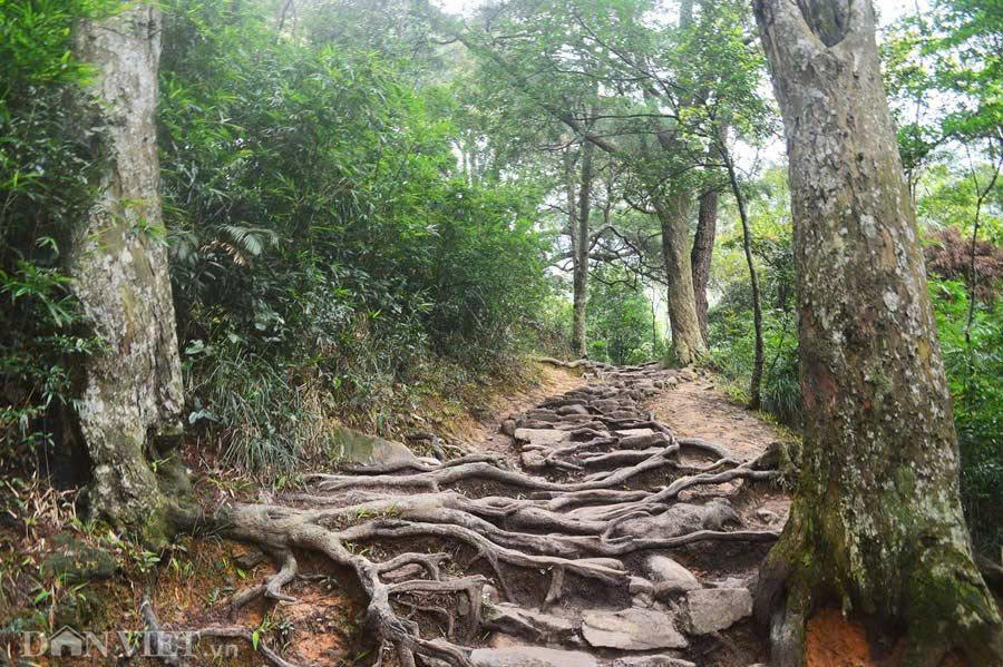 Quần thể di tích và danh thắng Yên Tử: Đỉnh cao để chinh phục, cội nguồn để trở về.