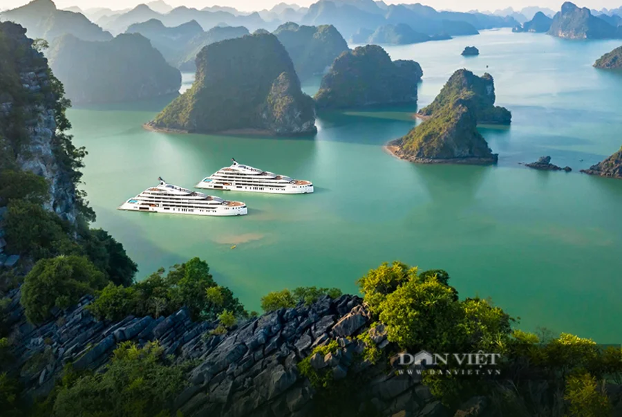 Cuộc thi trực tuyến "Tìm hiểu về chuyển đổi số tỉnh Quảng Ninh" năm 2025