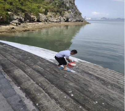 Những ngày giáp tết trên Vịnh Hạ Long