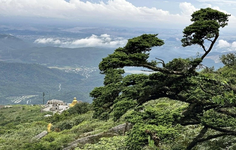 Giới thiệu Rừng Quốc gia Yên Tử