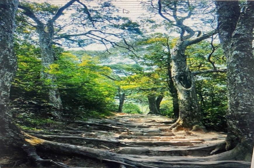 Quần thể di tích và danh thằng Yên Tử: Đỉnh cao để chinh phục, cội nguồn để trở về.