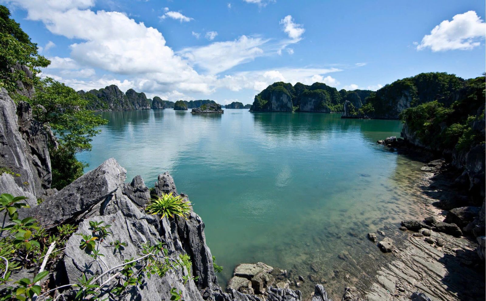 Yêu Hạ Long