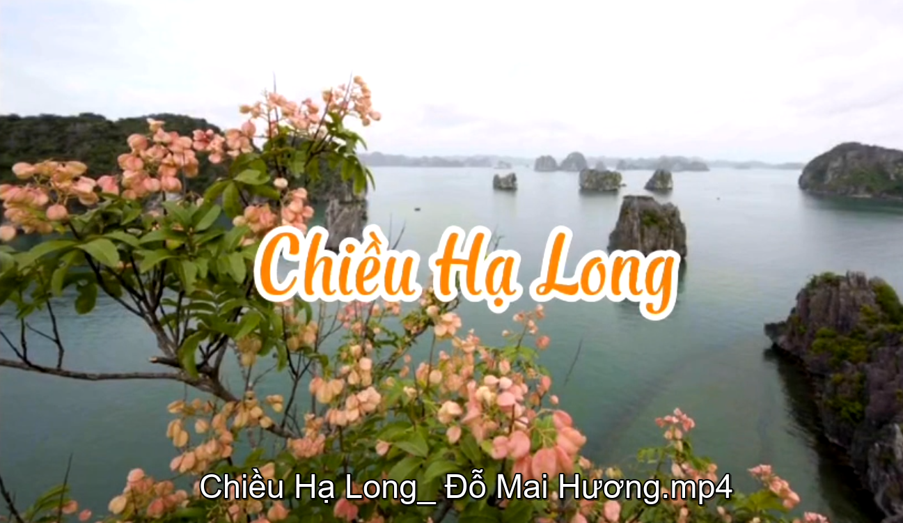 Chiều Hạ Long