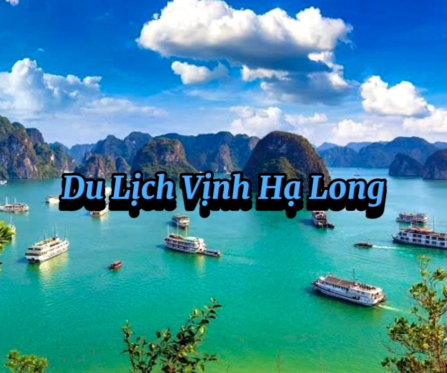 Du lịch vịnh Hạ Long