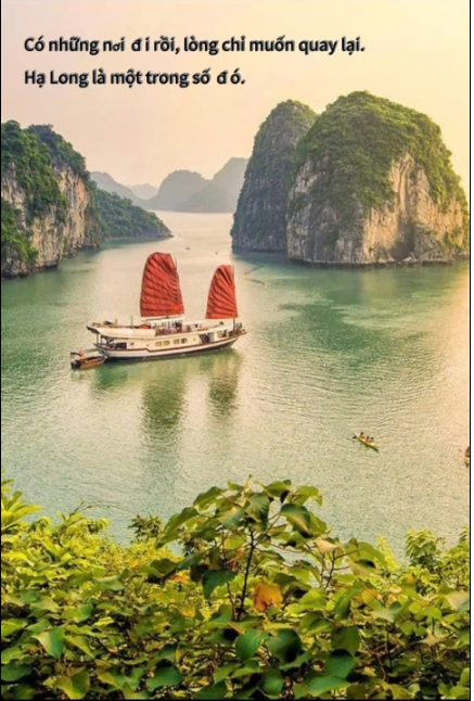 Nét thơ giữa lòng Di sản