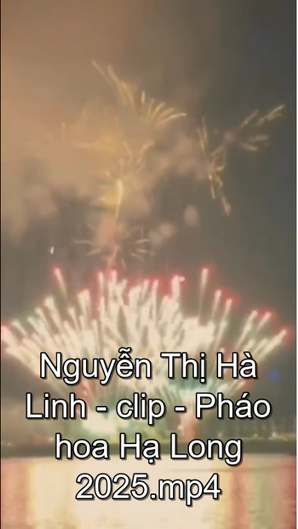 Pháo hoa Hạ Long