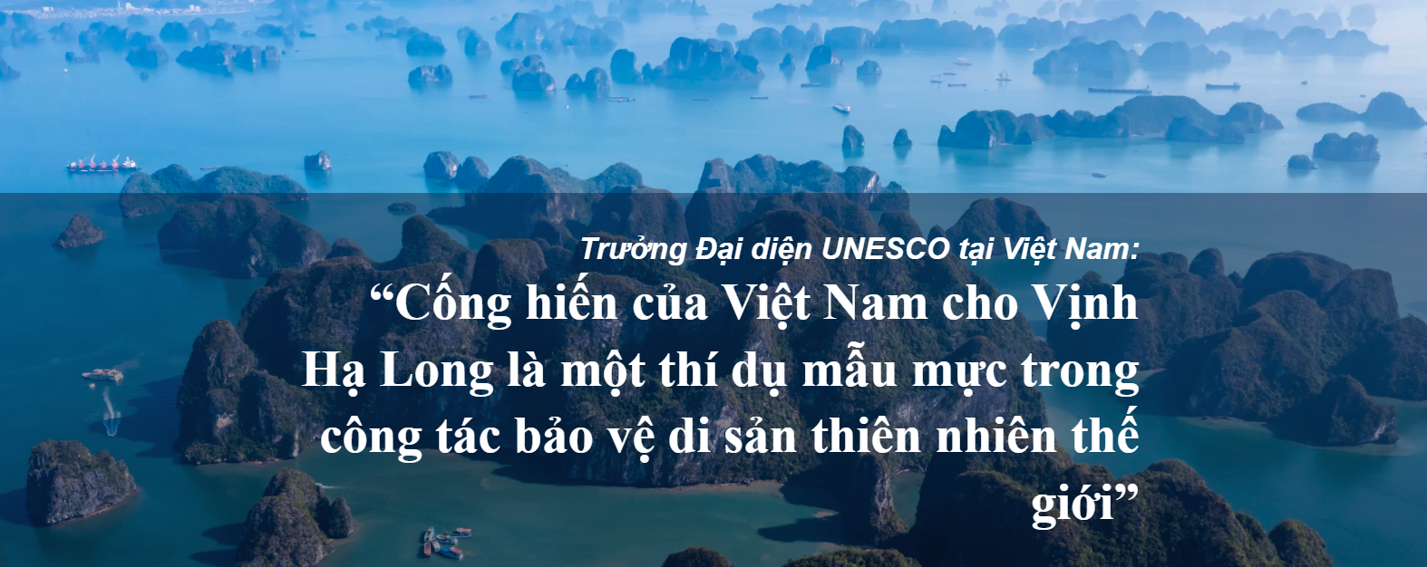 Trưởng Đại diện UNESCO tại Việt Nam: “Cống hiến của Việt Nam cho Vịnh Hạ Long là một thí dụ mẫu mực trong công tác bảo vệ di sản thiên nhiên thế giới”