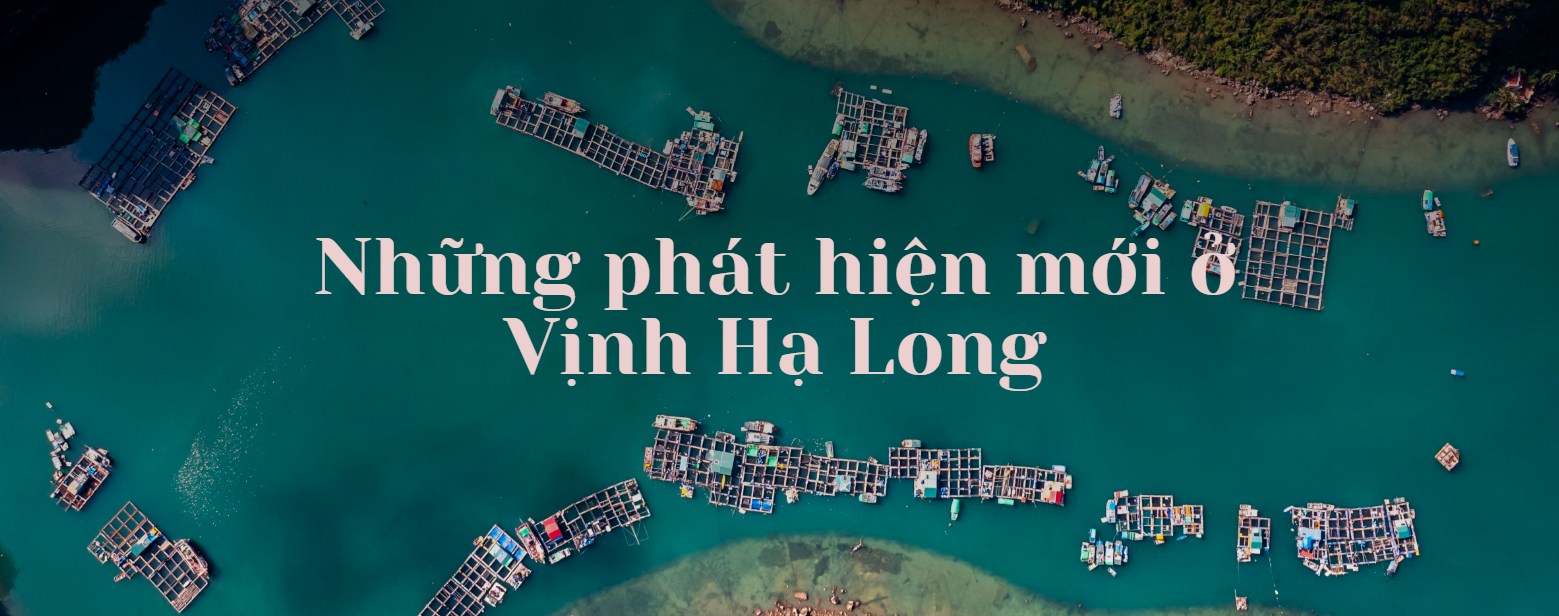 Những phát hiện mới ở Vịnh Hạ Long