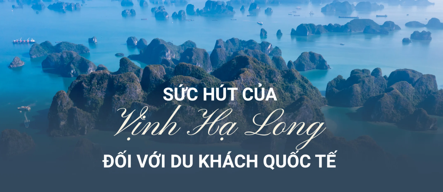 Sức hút của vịnh Hạ Long đối với du khách quốc tế