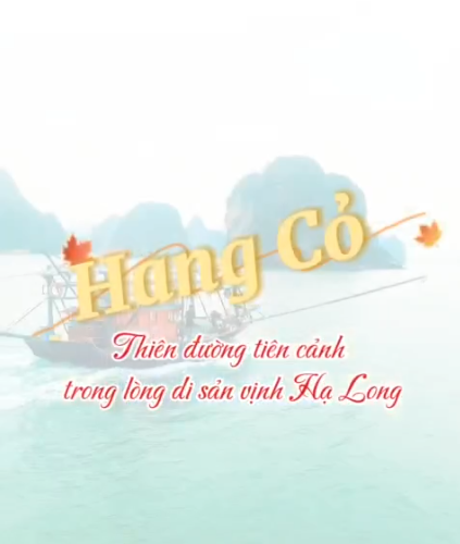Hang Cỏ - Thiên đường tiên cảnh trong lòng Di sản vịnh Hạ  Long