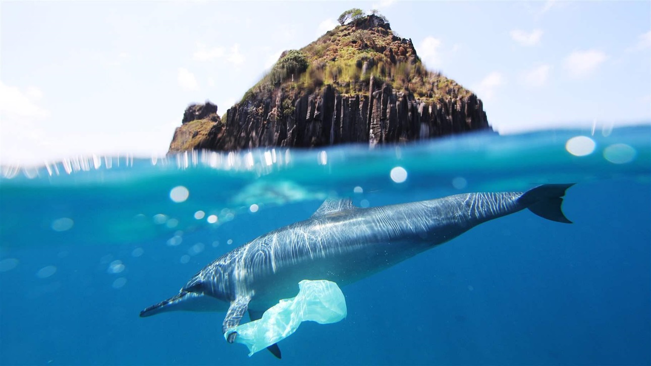 Rác thải nhựa - thủ phạm tàn phá môi trường biển, đại dương