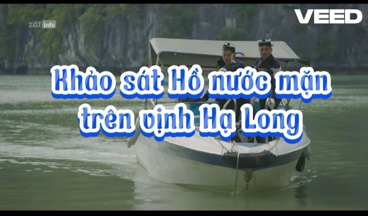 Khảo sát Hồ nước mặn trên vịnh Hạ Long