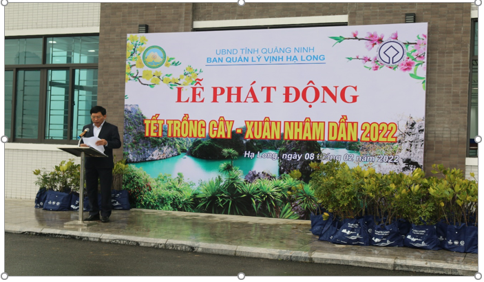 Ban Quản lý vịnh Hạ Long tổ chức Tết trồng cây xuân Nhâm dần