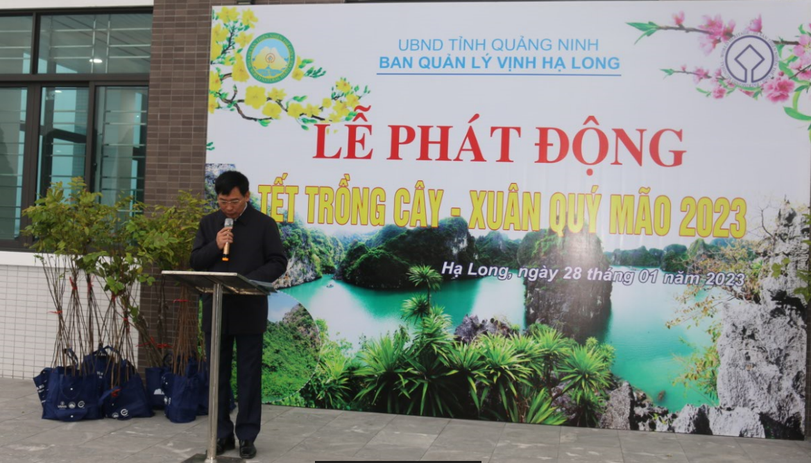 Ban Quản lý vịnh Hạ Long trồng gần 300 cây Lát Hoa trên vịnh Hạ Long trong dịp Tết trồng cây Xuân Quý Mão năm 2023