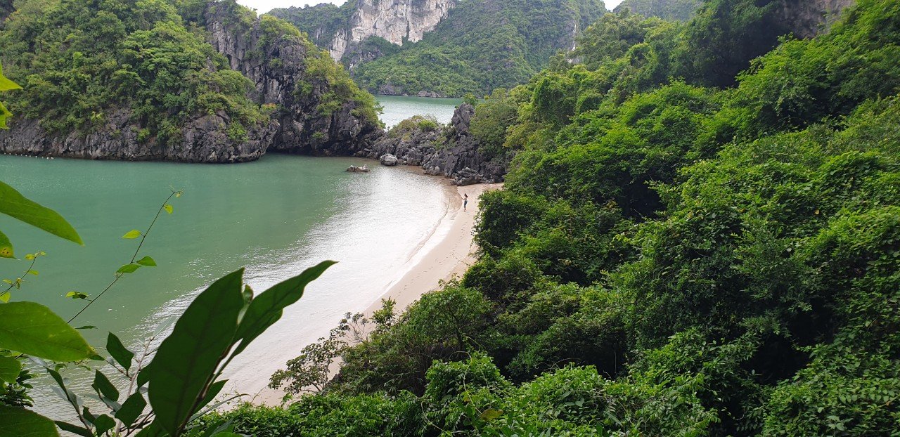 Quản lý các bãi tắm biển trên địa bàn tỉnh Quảng Ninh 