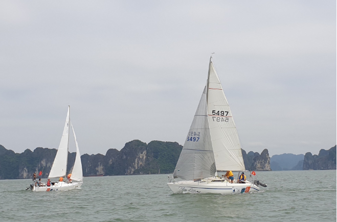 Vịnh Hạ Long: Điểm lý tưởng cho các cuộc đua thuyền buồm thế giới